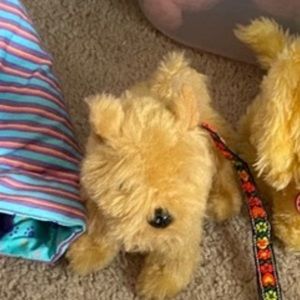 American girl dog for hold